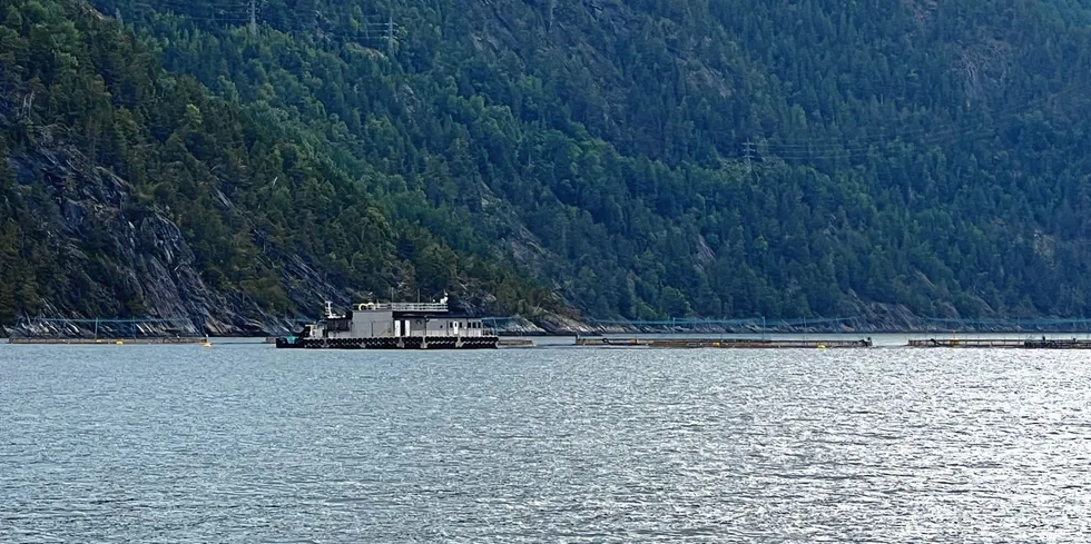 Det var på denne fôrflåta i Norddalsfjorden i Stranda kommune at ein 25 år gammal tilsett i Hofseth Aqua omkom i fjor sommar.