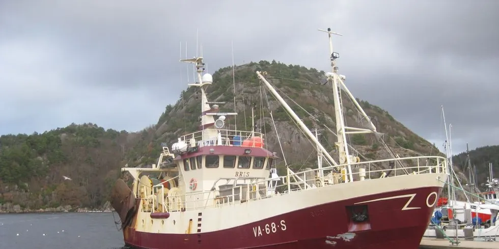GOD HØST: Høstfisket har gitt gode fangster for rekeflåten i sør. «Bris» av Søgne satser for tiden på revet og denne båten fikk i alt 2700 kilo med kokte reker på fire fiskedager sist uke. Foto: Roy Harbakk