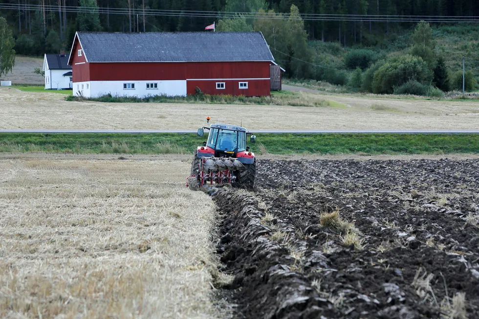 Illustrasjonsbilde: Forhandlingene om jordbruksoppgjøret er på overtid. Foto: Gunnar lier