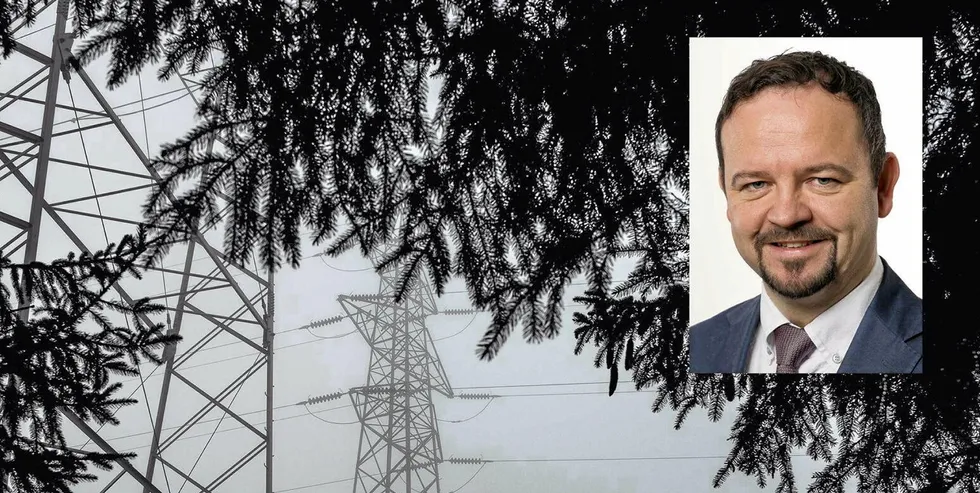 Lede er alene blant de store selskapene om å ikke ha lavere energiledd om natten. – Lav sats om natten innebærer at andre må betale høyere sats på dagtid, sier Lede-sjef Øivind Askvik.