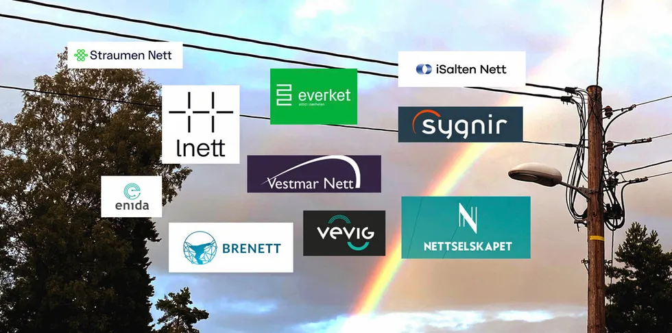 Montasjen viser noen av de de nye logoene til nettselskaper som har fått nytt navn. Foto: Haakon Barstad