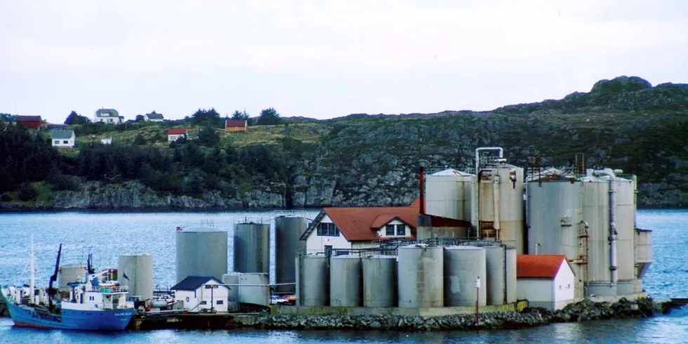 Hordafôr skal i gang med et prosjekt der de vil bruke lysprikkfisk i fiskefôr. Arkvivfoto: Kjersti Sandvik