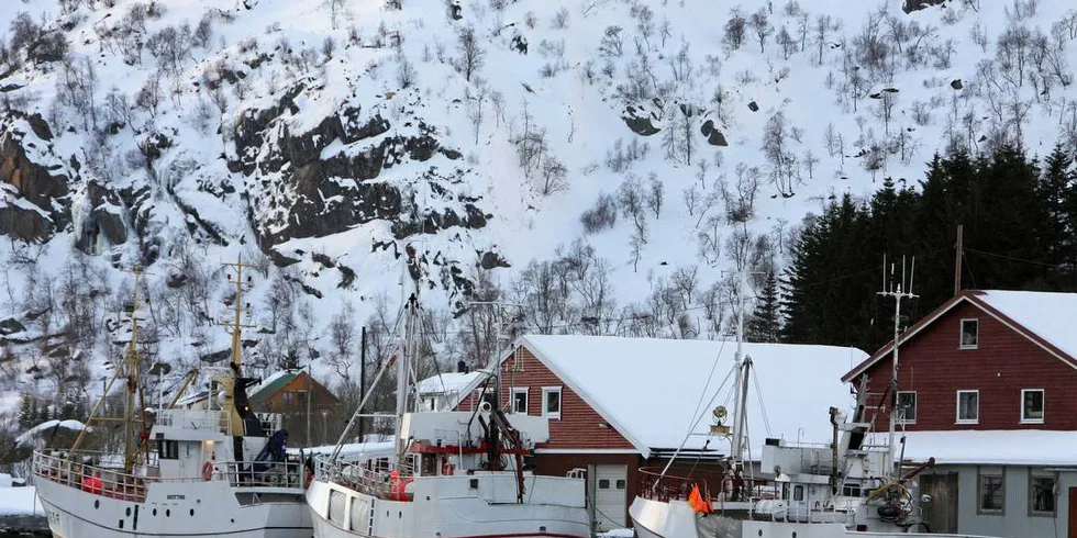 GAMMEL: Trebåten «Bjørntind» til høyre er bygget i 1976.