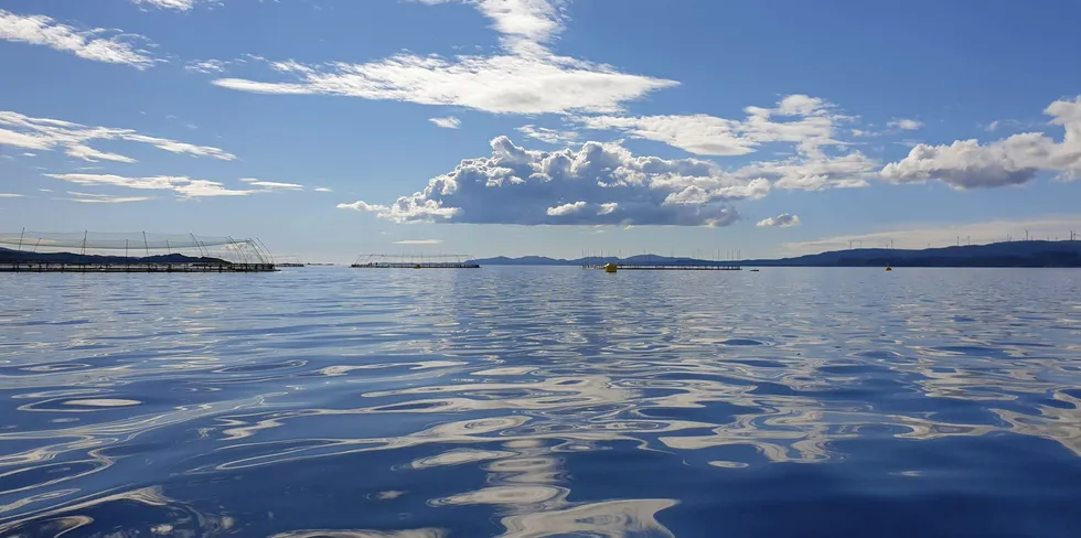 Illustrasjonsfoto: Lerøy sin lokalitet Fugløya i Heim kommune i Trøndelag. Lokaliteten ligger rett ved en annen Lerøy-lokalitet, Kjørvikgrunn.