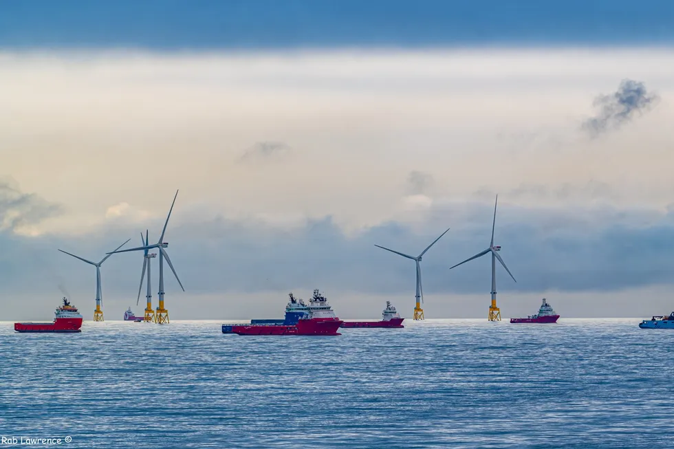 Ekstreme bølger i Nordsjøen er mer vanlig enn tidligere antatt og utgjør en alvorlig trussel mot infrastruktur for havvind og fartøyer, ifølge et nytt forskningsprosjekt om ekstrembølger i Nordsjøen. Bildet viser supply-båter og vindturbiner utenfor Aberdeen.