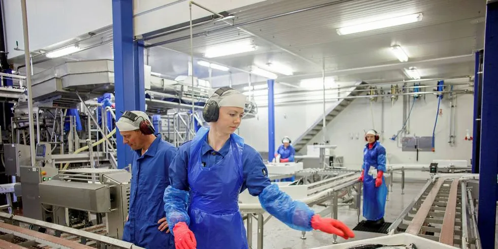 ANSATTE MÅ GÅ: Mens sjefen fikk rekordlønn og aksjonærene flere milliarder, må hundrevis av ansatte gå. Her er Tom Leirvik, produksjonsleder og Elise Dalen, forbedringskoordinator i oppdrettsbedriften Marine Harvest.Foto: Javad Parsa