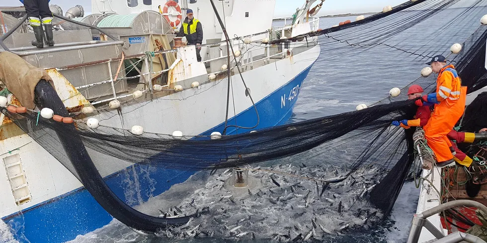 Makrellfiske i Lofoten sommeren 2018. «Fugløyfisk» og «Øyaskjær».