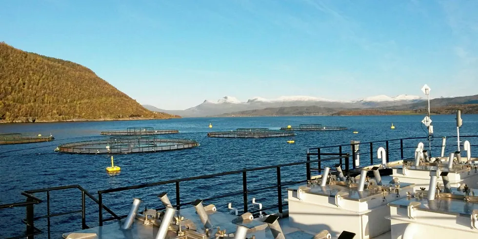 Lokaliteten Storvika til Wenberg Fiskeoppdrett i Skjerstadfjorden i Nordland er en av lokalitetene det er søkt om unntak for.