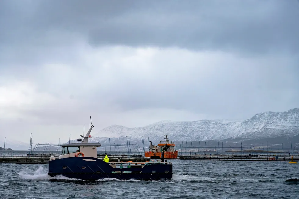 Norcods anlegg i Labukta i Nesna kommune.