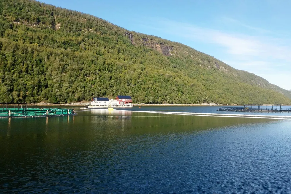 Cermaq har gjennom sitt eierskap i Ballangen Sjøfarm tre anlegg i Ofotfjorden. Ett av dem, Tortenneset, har nylig fått omgjort sin tillatelse etter en over 14 år lang klagesaksbehandling.