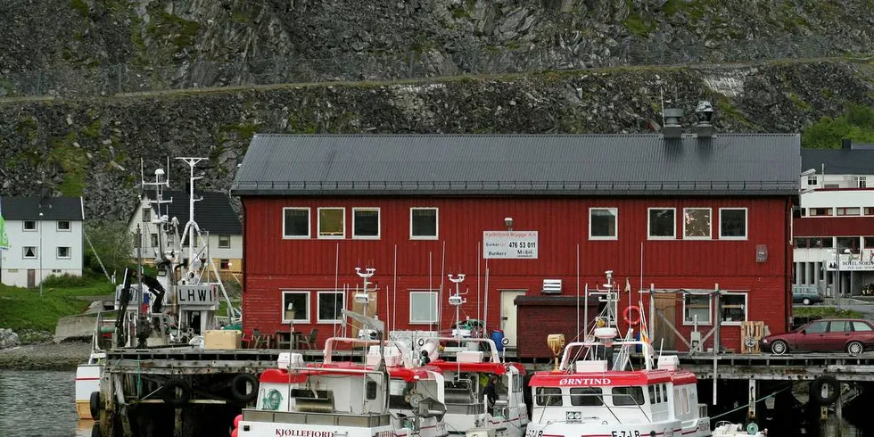 KJØLLEFJORD: Båtene til fiskeriselskapet Striptind. Båten «Striptind» ble solgt.