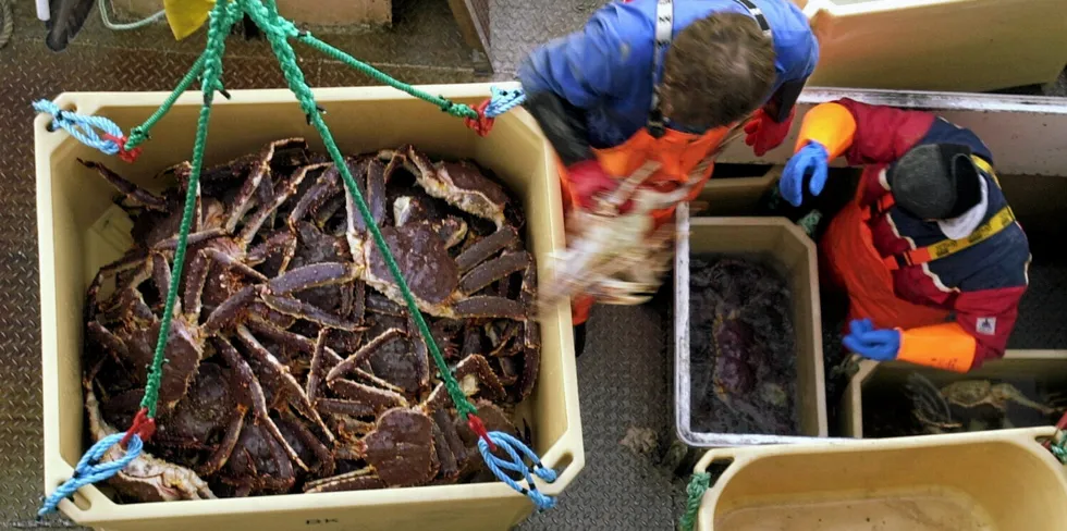 HØG RISIKO FOR SVART OMSETNING: Levering av kongekrabbe i Øst-Finnmark. Fiskeridirektoratet mener at hvis det er mobile kjøpestasjoner som tar imot krabben, så er det høg risiko for svart omsetning. Fangsten på bildet ble levert til et ordinært mottak.