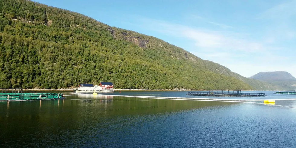 ALGEANGREP: Cermaq har gjennom sitt eierskap i Ballangen Sjøfarm tre anlegg i Ofotfjorden. Tortenneset (bildet) mistet all fisken etter algeoppblomstringen i vår.