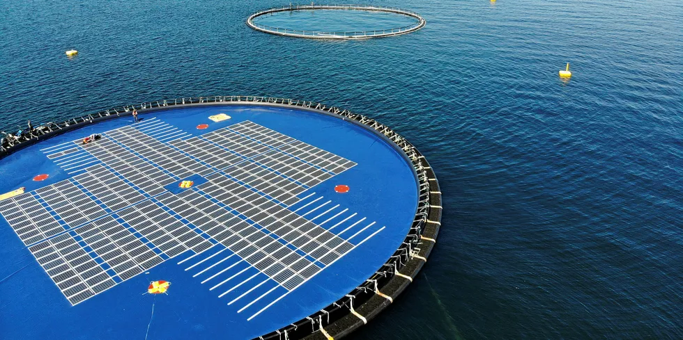 Ocean Sun satser på flytende solkraft til havs. Her fra et prosjekt på Osterøy utenfor Bergen.