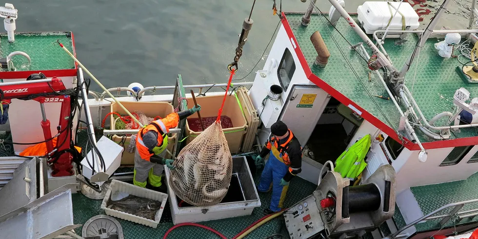 LOFOTFISKET: Fiskere fra Helgeland må i karantene om de har vært på lofotfisket. NB: Dette er et illustrasjonsfoto.