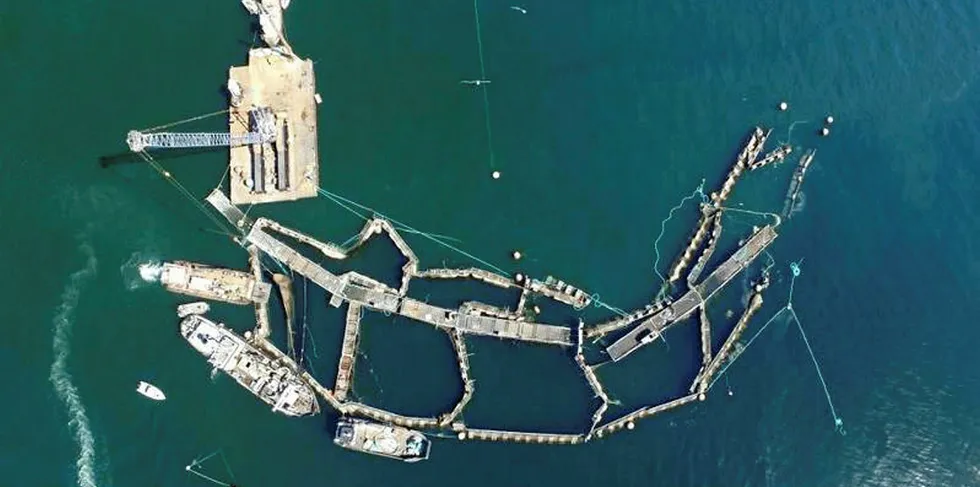 In August 2017, a net pen owend by Cooke Aquaculture near Cypress Island in Skagit County failed and released tens of thousands of non-native Atlantic salmon into the surrounding waters. The Washington State Department of Natural Resources worked with area tribes, the Washington Department of Ecology, Washington Department of Fish & Wildlife, and Cooke to respond to the incident.