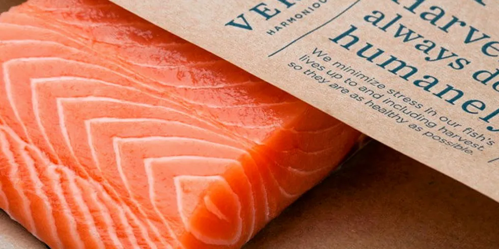 US salmon market growing at unprecedented level