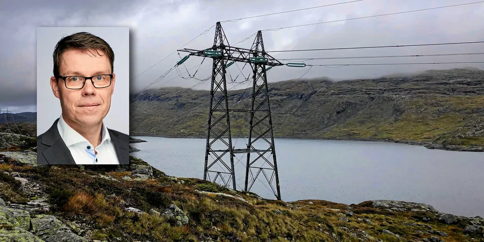 Energi og effektdistanse beskriver nettselskapenes oppgaver bedre enn de variablene som er i bruk i dag, forklarer Roar Amundsveen, leder for seksjon for økonomisk regulering i RME.