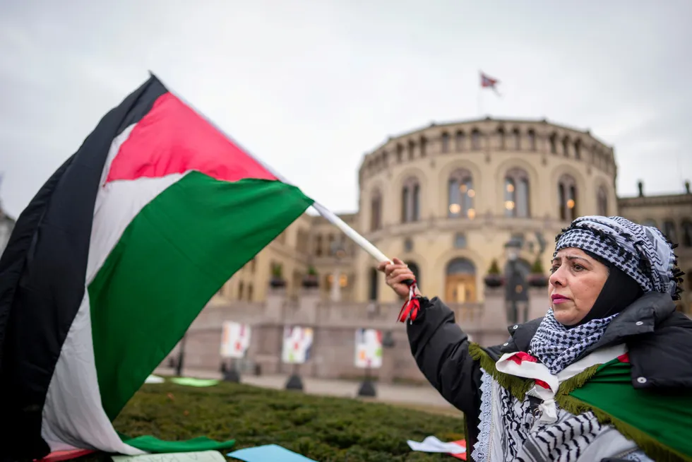 Norskpalestinske Semira Shakr Karim på Eidsvolls plass før avstemningen i Stortinget.