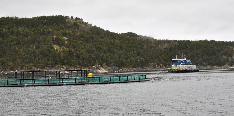 Gifas' lokalitet Storevika i Sundanstraumen ved Bodø er blant de tre som nå får landstrøm.