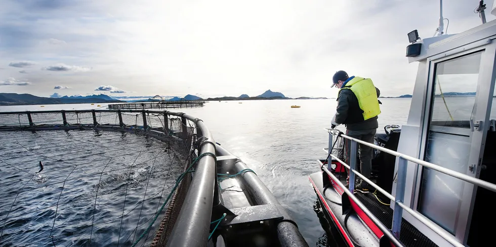 Dagleg leiar i Selsøyvik havbruk, Martin Sæterstad Kulseng, her i aksjon på lokaliteten Stangholmen i Rødøy kommune på Helgeland.