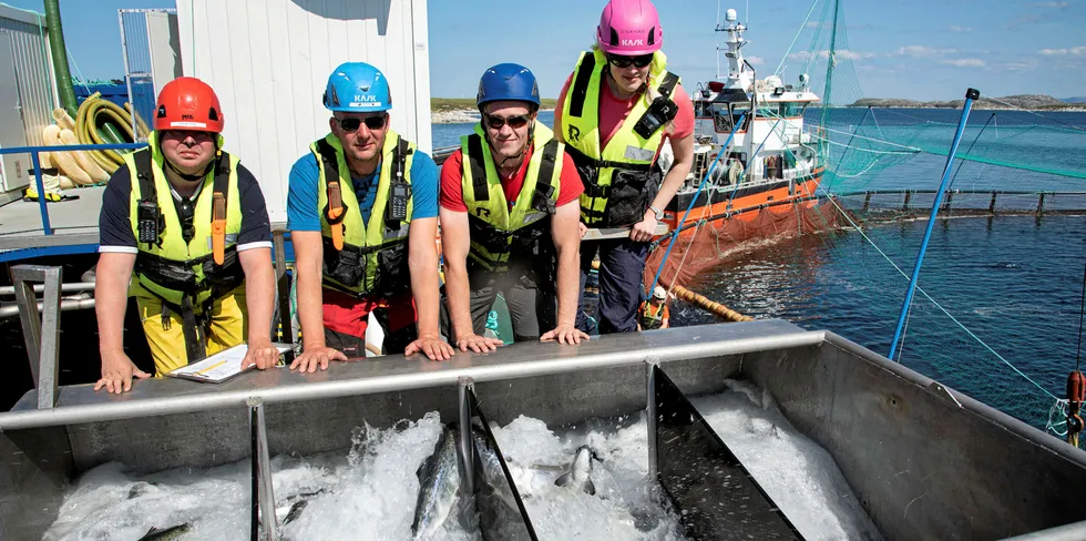 Arbeidet med dokumentasjon av Skamik har involvert ulike aktører. Fra venstre driftstekniker Stein Tore Østensen (SinkabergHansen), driftsansvarlig Arnt Roger Martinsen (Fisheraquaservice), veterinærstudent Jakob Mo og ansvarlig veterinær Aoife Westgård (Aqua Kompetanse).