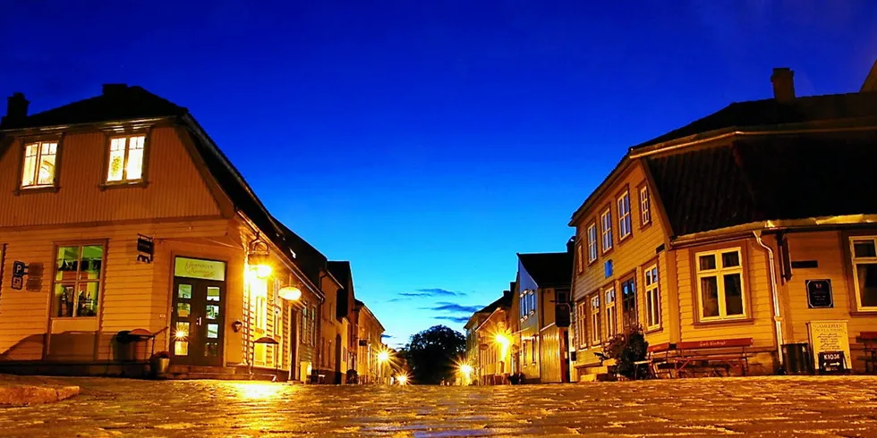 Beboerne i Gamlebyen i Fredrikstad og andre Norgesnett-kunder kan inntil videre glede seg over en meget lav nettleie.