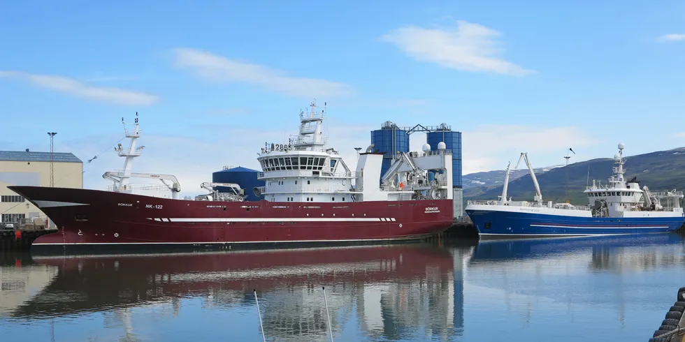 Islandsk pelagiske trålere har fisket mer makrell, men mindre sild og kolmule enn forrige tolvmånedersperiode. Her er «Börkus» og «Jónaedvalds» ved kai i Akureyri på Island.