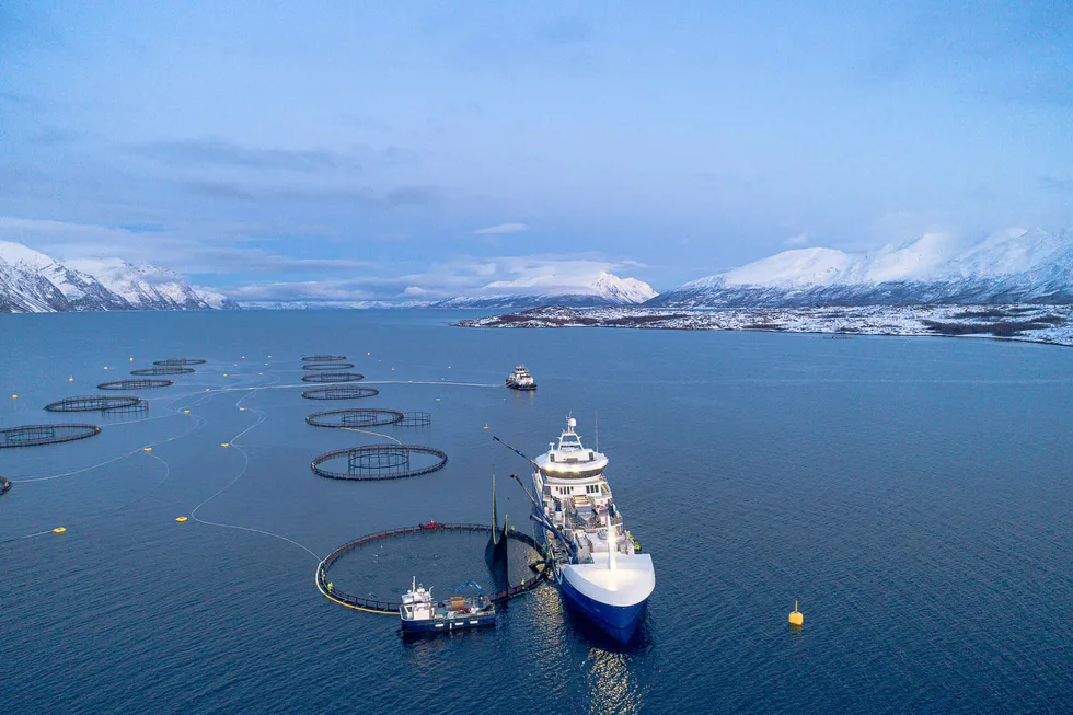 Brønnbåten «Ro Fortune», som eies av Rostein as, på oppdrag hos oppdrettsanlegget Lerøy Aurora i Lyngenfjorden.