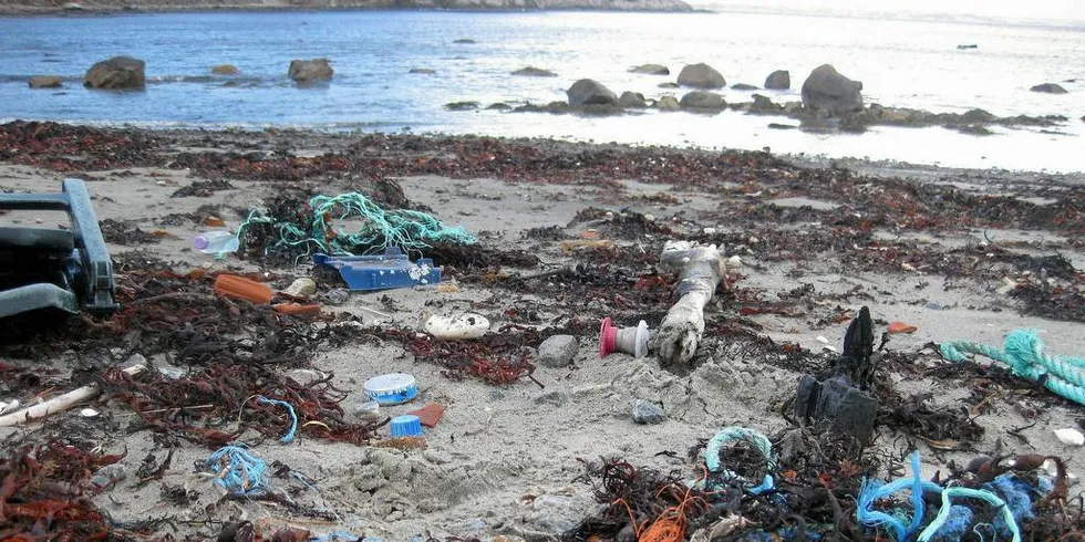 NY AVGIFT? Miljødirektoratet vil at fiskerne skal betale et avfallsgebyr hver gang de anløper en havn.Arkivfoto: Sverre Andreas Stakkestad