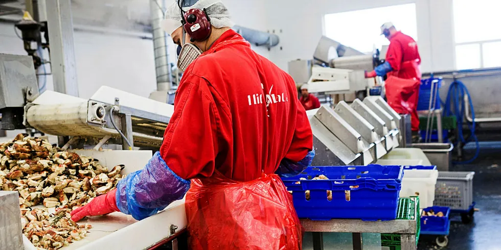 REKRUTTERER: Krabbeprodusenten Hitramat er allerede i gang med å rekruttere arbeidskraft til en ny sesong.