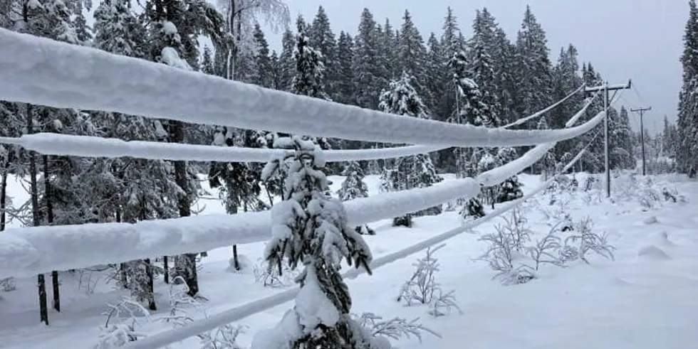 Mye snø og is på linjene er årsaken til de mange strømbruddene i Agder det siste døgnet. Nye feil har oppstått onsdag morgen.
