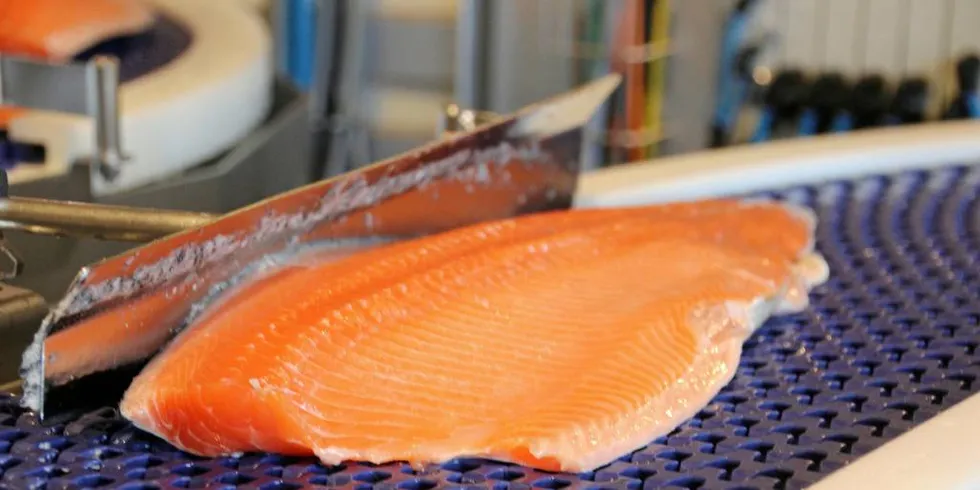 FILET: Matproduksjon er komplisert, men Norge har klart å bli verdensledende på matproduksjon i havet gjennom blant annet samarbeid – og tillit, understreker dagens skribent.Arkivfoto: Anders Furuset