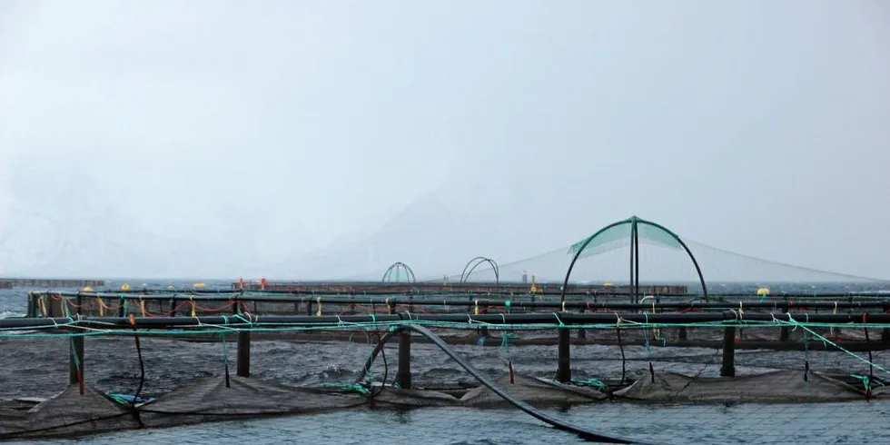 Oppdrett: Merete Kristiansen i Nordlaks oppfordrer oppdrettsnæringa til å tro på seg selv og jobbe framtidsrettet.Arkivfoto: Anders Furuset