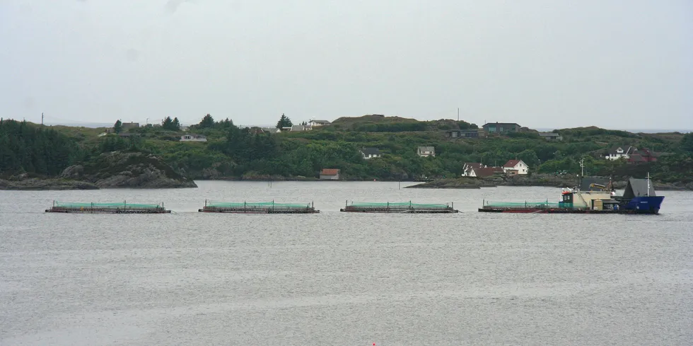 Fylkesnes Fisk sin lokalitet Lelandsholmen ved Hiskjo på Bømlo. Sett fra Tverborgvik.