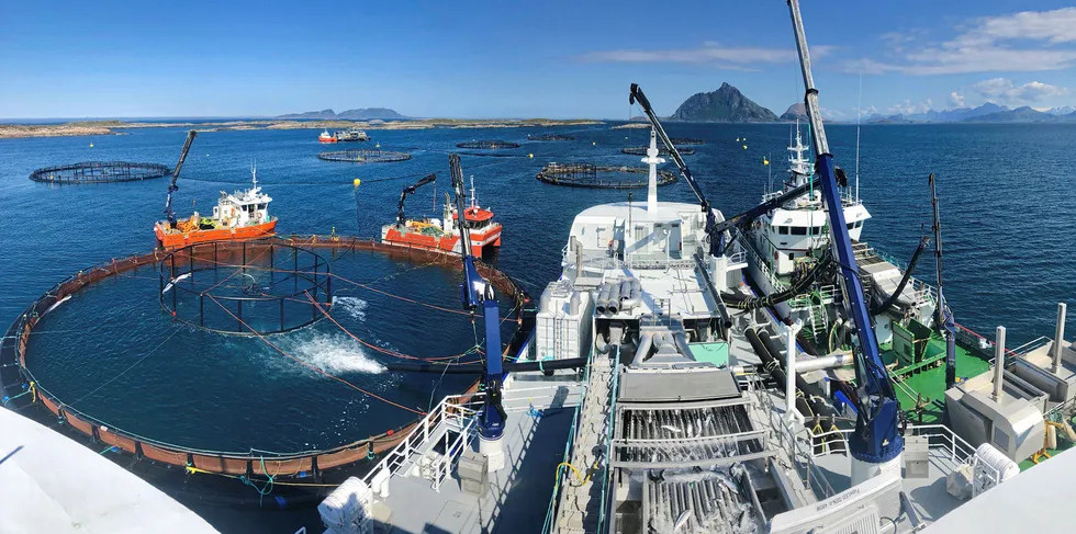 Det er ikke alltid at dagene er like vakre som på dette bildet. Arbeidsbåten som kantret, var på vei fra denne lokaliteten, Måvær i Lurøy kommune på Helgeland, til Lovund.