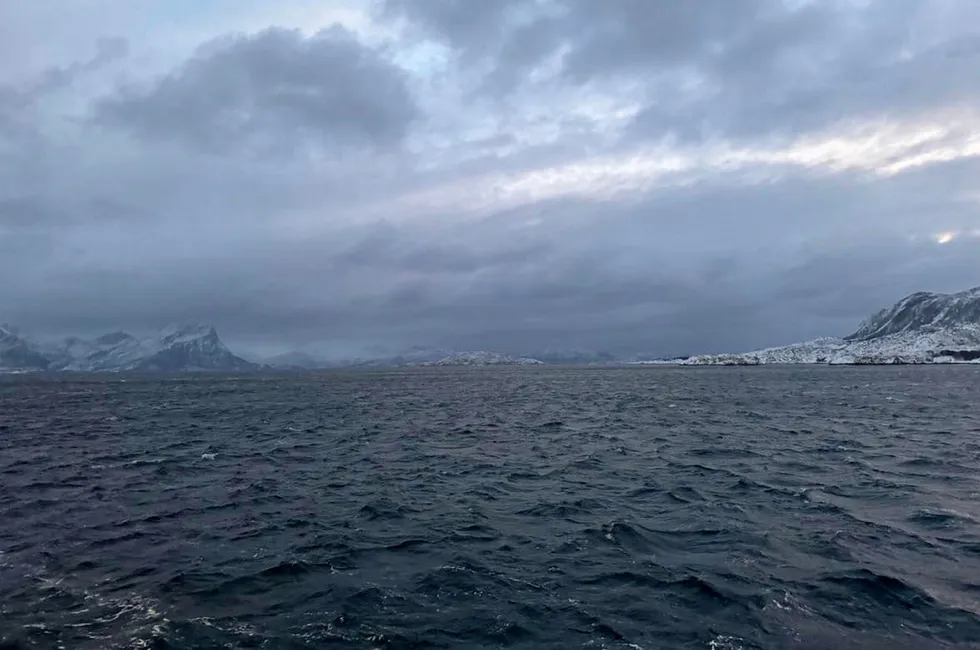 Gigante Salmon sin lokasjon, Rosøy, i Rodøy kommune.