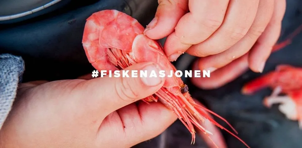 Prosjektet Fiskenasjonen vil være godt synlig langs norske kystveier denne sommeren. Foto: Godfisk.