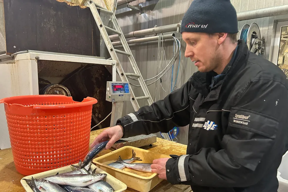 Mathias Hansen i Sommarøy fisk AS, før daglig leder – nå fabrikksjef. Han er glad for at Brødrene Sperre ville være med på laget.