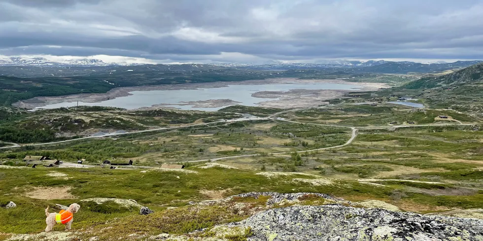 Hallingkraft er historie. Selskapet er nå slått sammen med Hafslund Strøm. Her fra Rødungen Magasin i Ål.