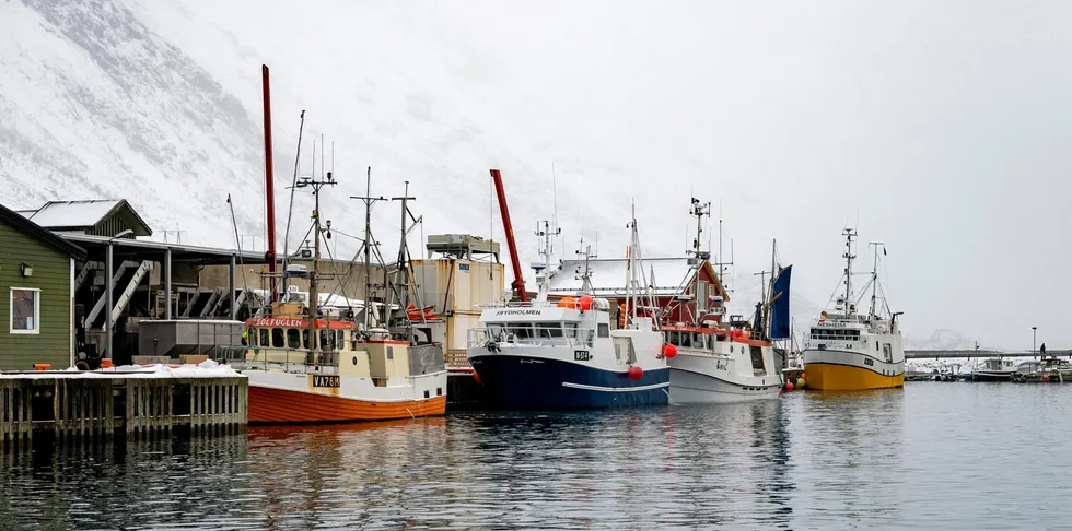 Karl Seyffarth følger opp tradisjonen med drivgarnsfiske i sør og de to første makrellfangstene ga en kilopris på solide 75 kroner ved det lokale fiskemottaket. Her er båten hans «Solfuglen» (fremst i bildet) fotografert mens den er på lofotfiske.