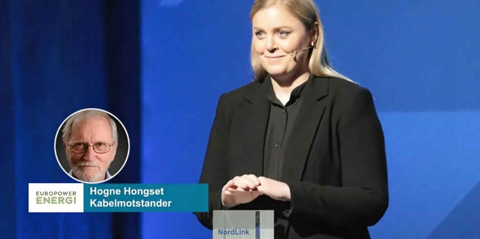 Samfunnsdebattant Hogne Hongset mener at det bare er kraftbransjen som tjener på NordLink-kabelen.