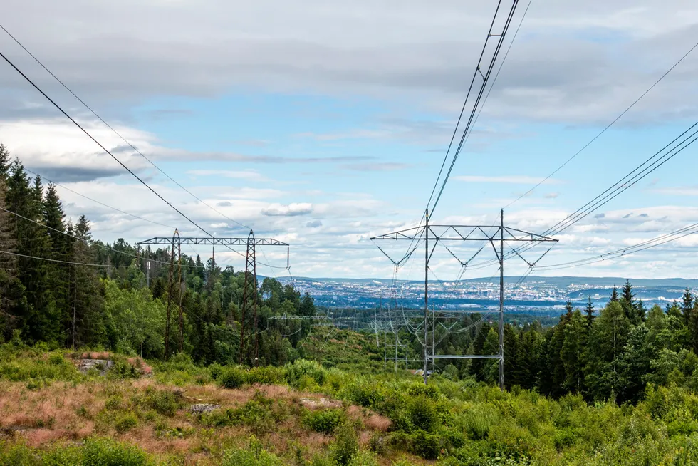 Unngåtte nettutbygginger skåner miljøet og reduserer konflikter, skriver artikkelforfatterne.
