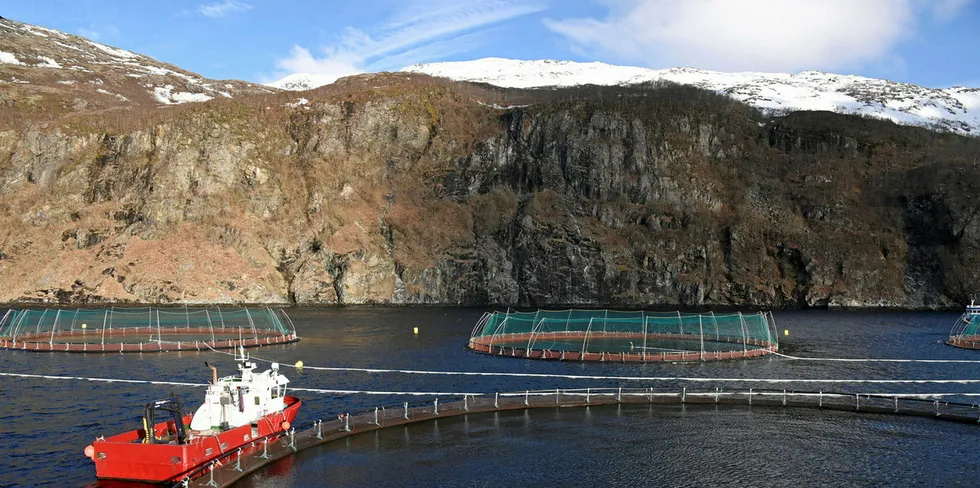 SinkabergHansens 'barnehage' i Tosenfjorden i Nordland