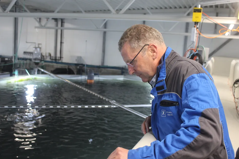 Grieg Seafood CEO Andreas Kvame