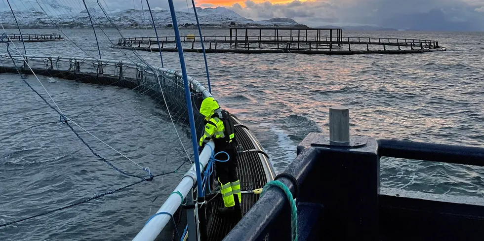 Havbrukslærling Siril Jørgensen (19) på daglig sjekkrunde på merdkanten hos Lerøy.