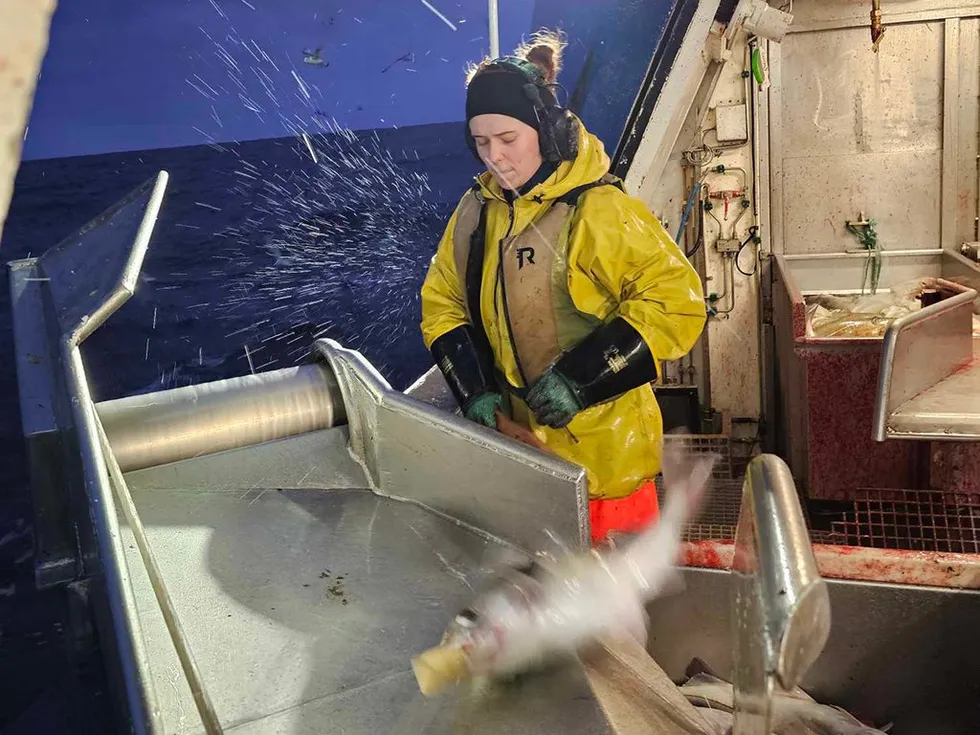 Frøya Worren i dragerluka på «O. Husby» hvor man klepper inn og bløgger fisken.