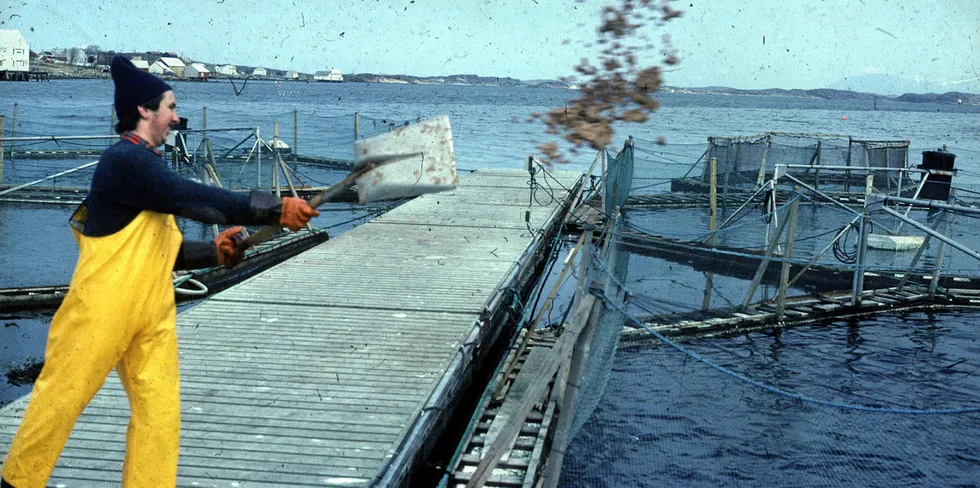 Mating av laks - med snøskuffe. Bildet er fra Ellingvåg Fiskeoppdrett i Langøysundet i Averøy Kommune. Mannen på bilde heter Andreas Kvistnes. I bakgrunnen ses Bjørshol mek (Triplex) og deler av Stranda Prolog.