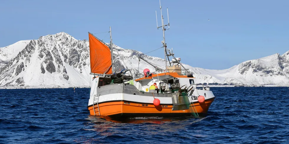 På Henningsværstraumen har ikke fisket vært all verden i det siste. «Tjeldungen» fra Stokmarknes er en av sjarkene som fortsatt holder ut. Her knipset mandag formiddag.