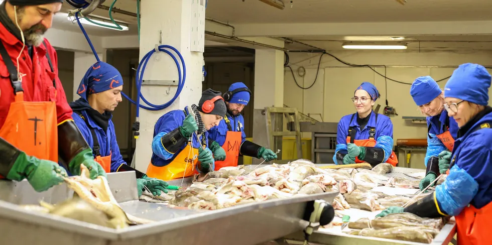 Direktefisket etter brosme blir stoppet fra 1. april. Her fra Gunnar Klo AS på Stø i Vesterålen.